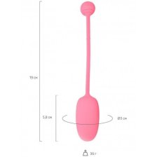 Смарт-тренажер Кегеля Magic Motion Kegel Coach