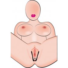 Анальный расширитель с зажимом на половые губы сIntimate Spreader Anal
