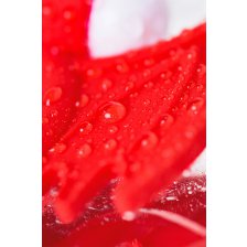 Эрекционное кольцо на пенис JOS SWEET DEVIL, красный