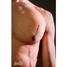 Зажимы для сосков и клитора