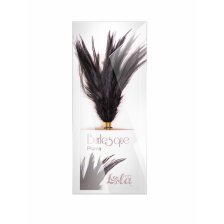 Тиклер Burlesque Plume Black