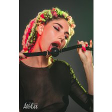 Кляп Party Hard Charmer L