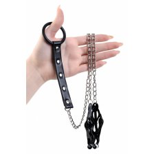 Зажимы для сосков с кольцом для пениса, TOYFA Metal