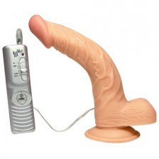 Вибратор изогнутый с пультом Curved Ecstasy 19 см