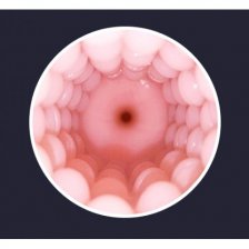 Сменный вкладыш Vagina-Shaped для Lovense Max 2 телесный