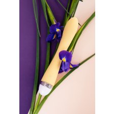 Вибратор Flovetta by Toyfa Calla