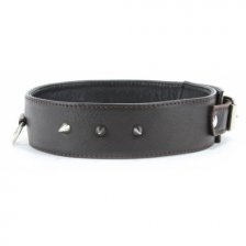 Коричневый ошейник с маленькими шипами XL
