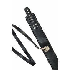 Ошейник Party Hard Circus Black