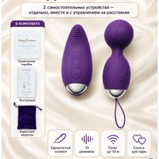 Виброяйцо Akili с пультом набор 2 в 1 USB фиолетовый