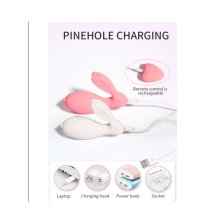 Вибратор-мини Passion Rabbit, с пультом, USB-зарядка